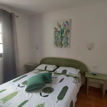 Miami 227